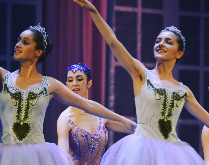 The Classical Ballet School — baile-studio en Eixample, Girona — 2