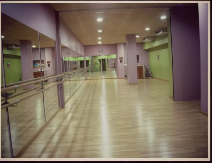 The Classical Ballet School — baile-studio en Girona — 4