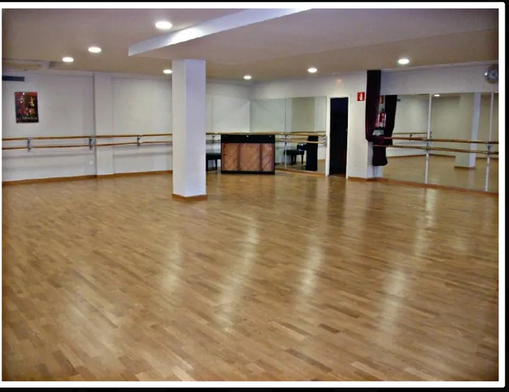 The Classical Ballet School — baile-studio en Girona — 5