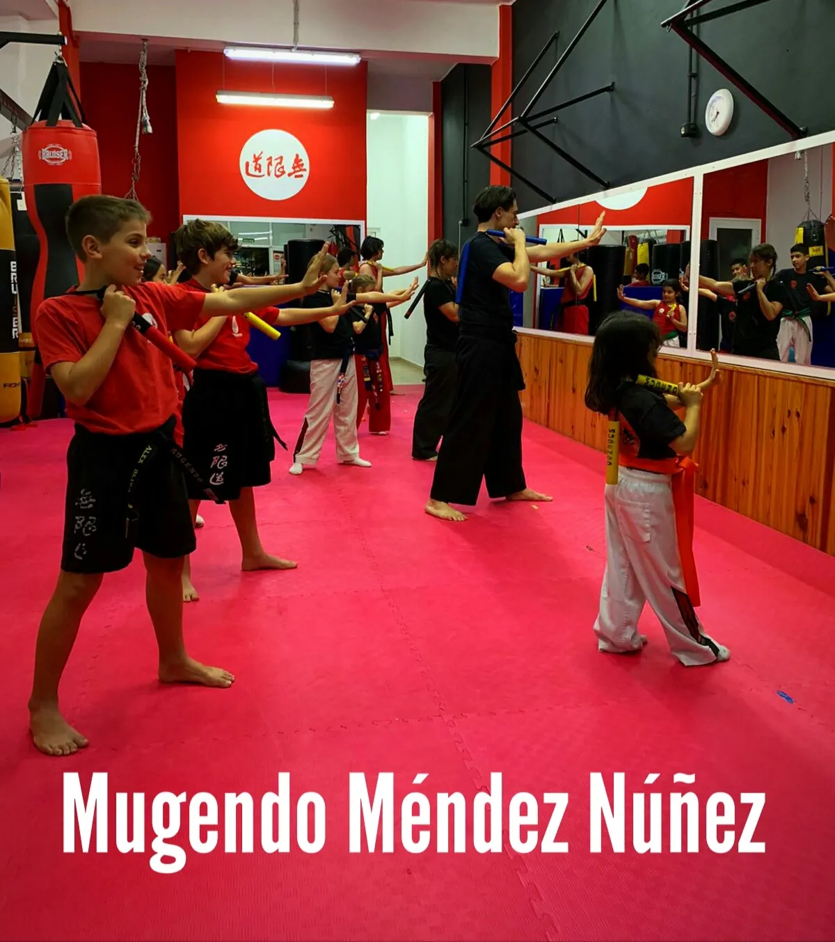 Asociación Marcial Mugendo Mugenryu — artes marciales-studio en Santa Cruz de Tenerife — 4