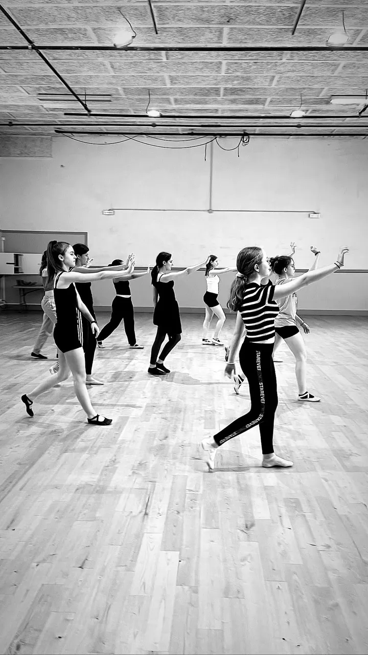 Les ateliers de la danse — danse-studio à Échirolles — 4