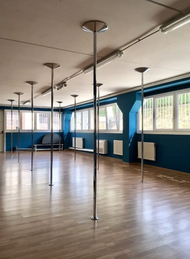 Pole Dance Bologna — pole dance-studio a Bologna — 3