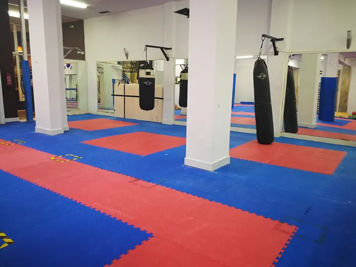 Gimnasio Sport Zapico — Artes marciales en Chamartín, Madrid