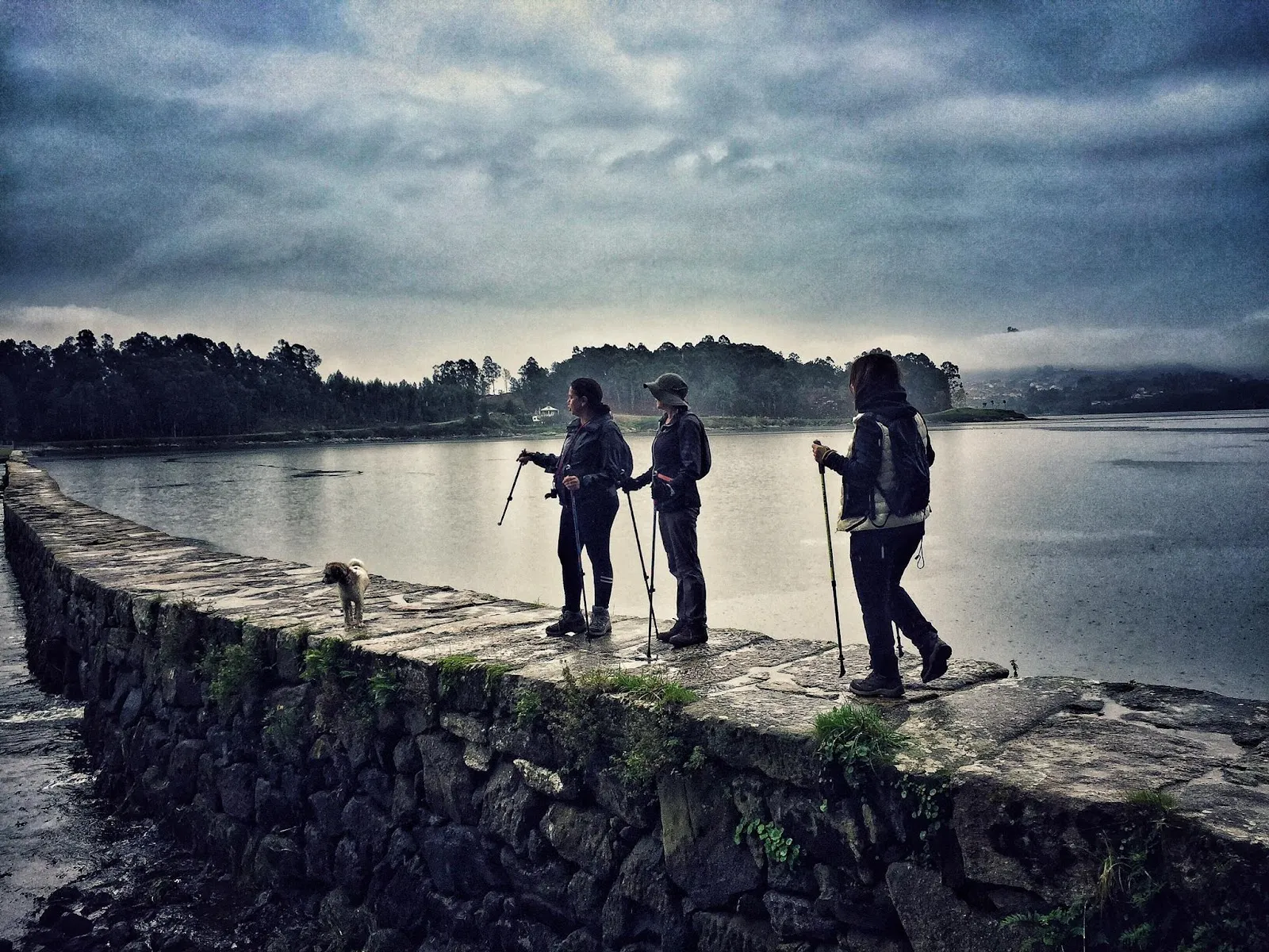 Nordic Walking Vigo — estudio de fitness-studio en Vigo — 4