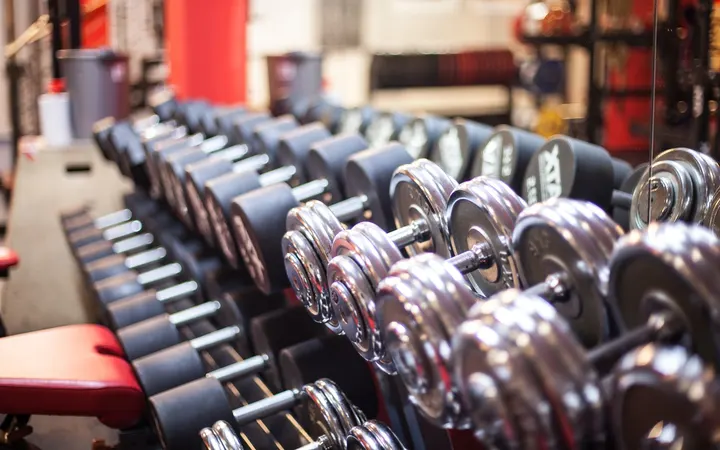 Barbarossa Gym Inh. Mario Milana — fitnessstudio in Kaiserslautern — 3