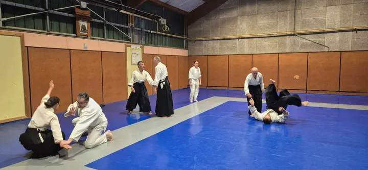 AIKIKAI ANNECY SEYNOD — Arts martiaux à Seynod, Annecy