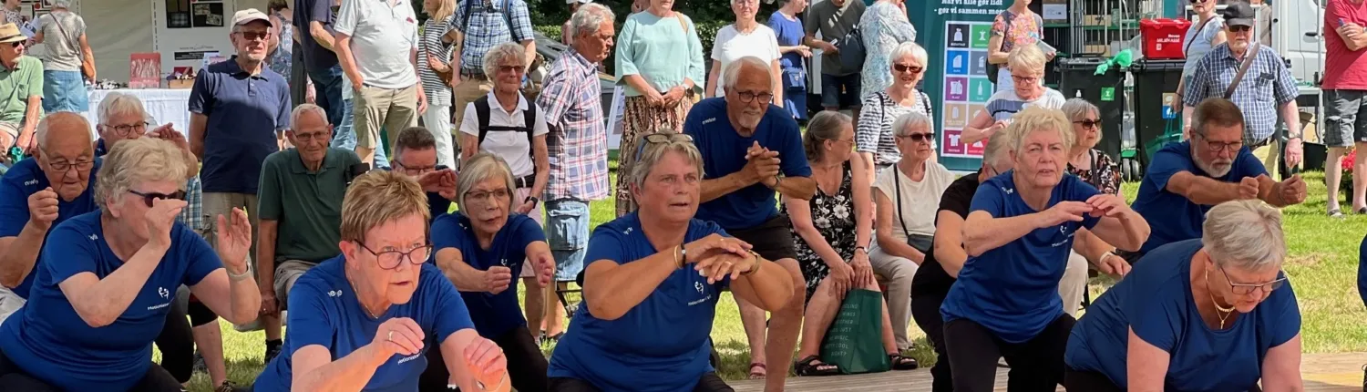 Motionister I Viborg — functional training-studio i Søndermarken, Viborg — bild 2