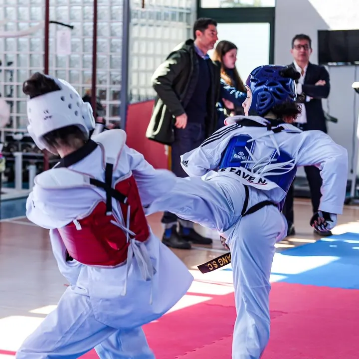 Hwarang Sporting Club — arti marziali-studio a Roma — 6