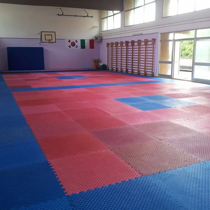 Hwarang Sporting Club — Arti marziali a Municipio Roma XI, Roma