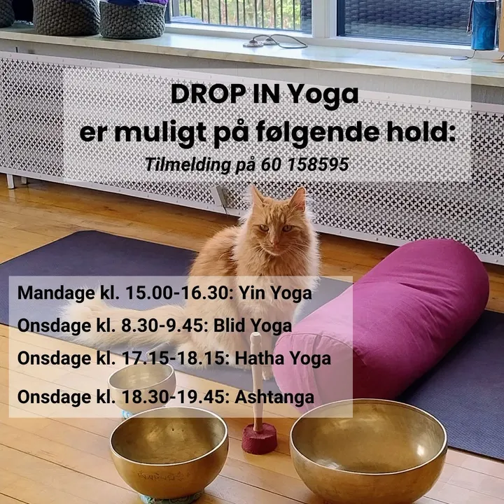 Ønskehusets Yoga — yoga-studio i Vikingeparken Hobro, Hobro — 2