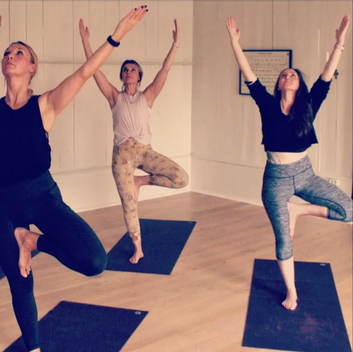 Element Yoga Oslo Sentrum — yoga-studio i Oslo — 3