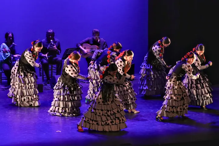 Escuela De Flamenco Fanitas — baile-studio en Osuna — 2