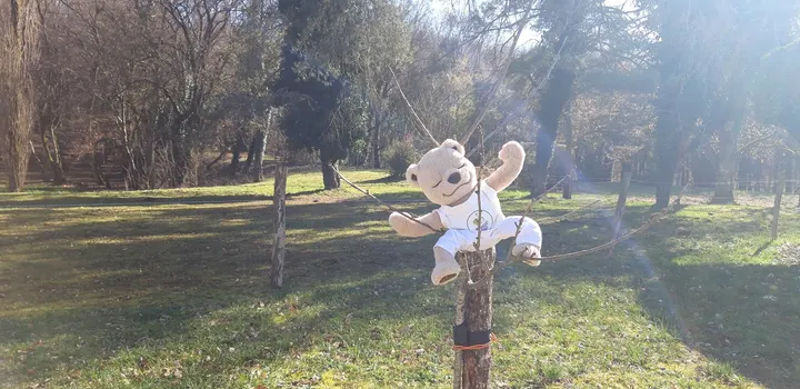Pousse de Yogi Formation Enfant — yoga-studio à Chamars, Besançon — 3