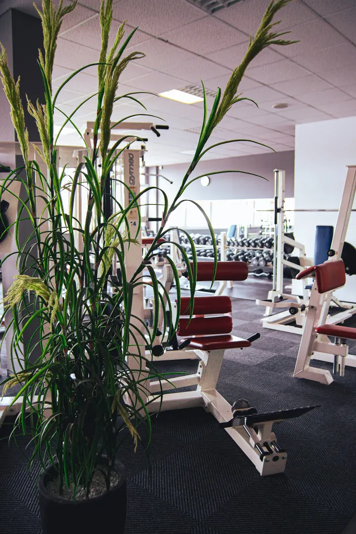 PSA Fitness — Fitnessstudio in Thale
