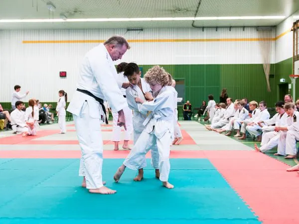 Erik Verlaan Sport Hoge Weide — Turnen in Leidsche Rijn, Utrecht