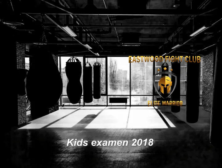 Eastwood Fight Club — boksen-studio in Oosterhout — 3