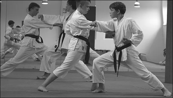 Shuyukan Karate Dojo Osnabrück — kampfsport-studio in Sonnenhügel, Osnabrück — 3