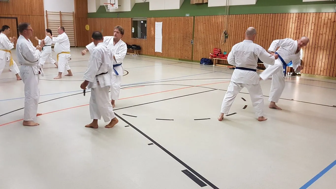 Shotokan Karate Team Karlsruhe — kampfsport-studio in Neu-Knielingen, Karlsruhe — 2