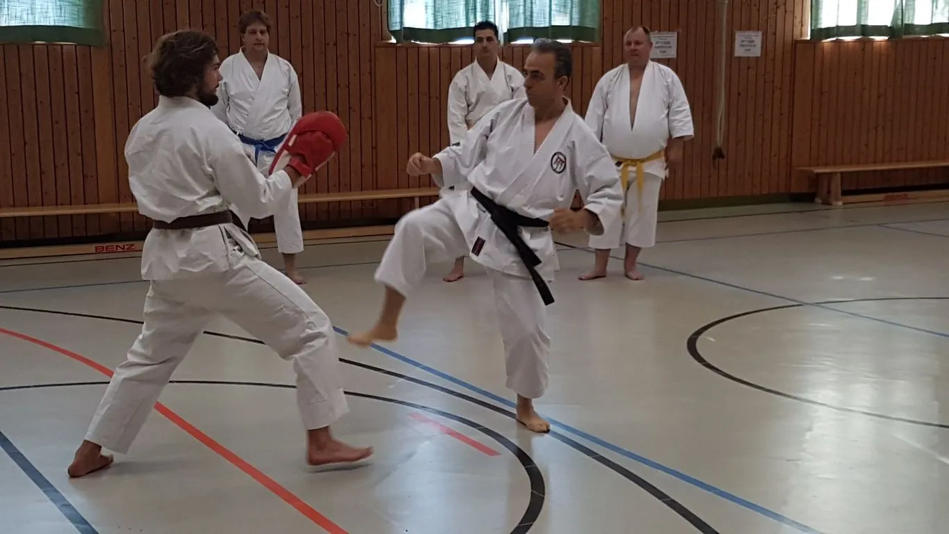 Shotokan Karate Team Karlsruhe — kampfsport-studio in Karlsruhe — 3