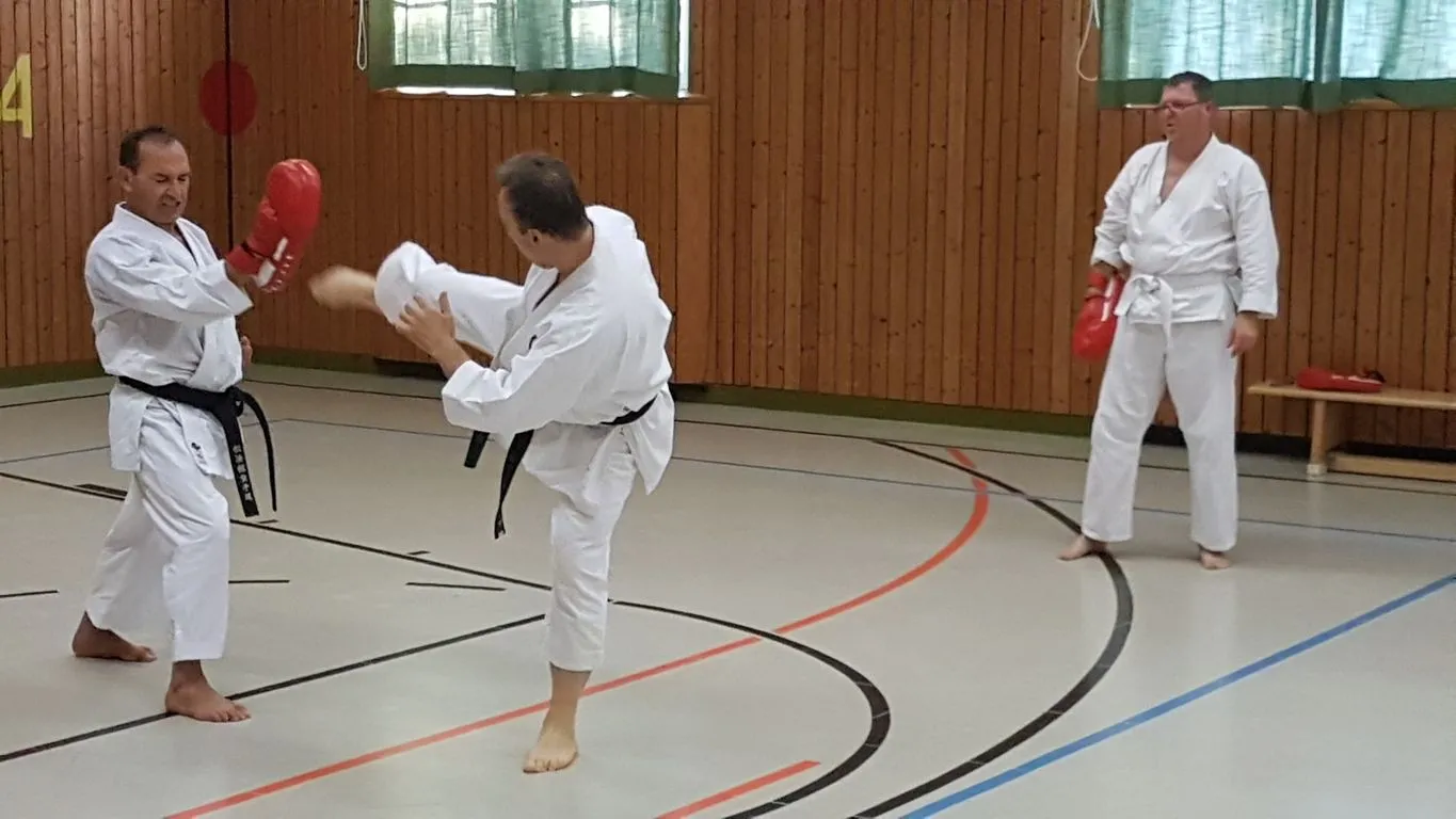 Shotokan Karate Team Karlsruhe — kampfsport-studio in Karlsruhe — 5