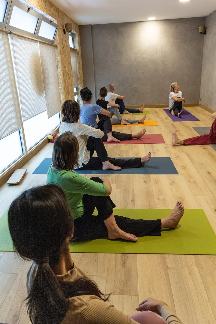 Centre de yoga Lyon Jean Macé — Yoga à Lyon 7e Arrondissement, Lyon