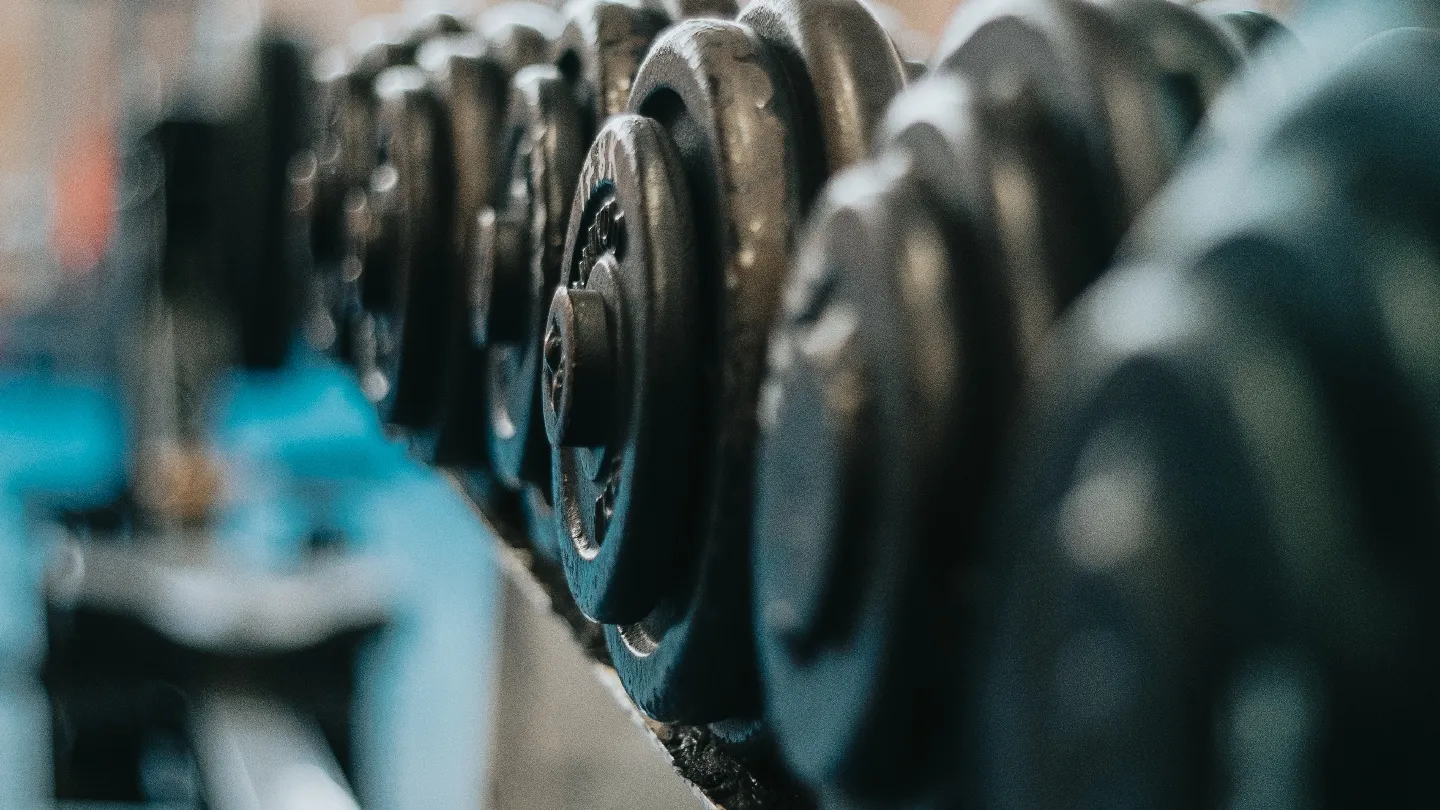 Gelrousgym — estudio de fitness-studio en Alcoi/Alcoy — 4
