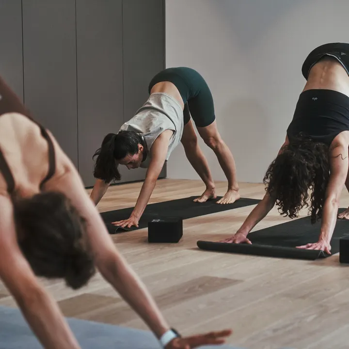 The Class Munich — Barre in Maxvorstadt, München