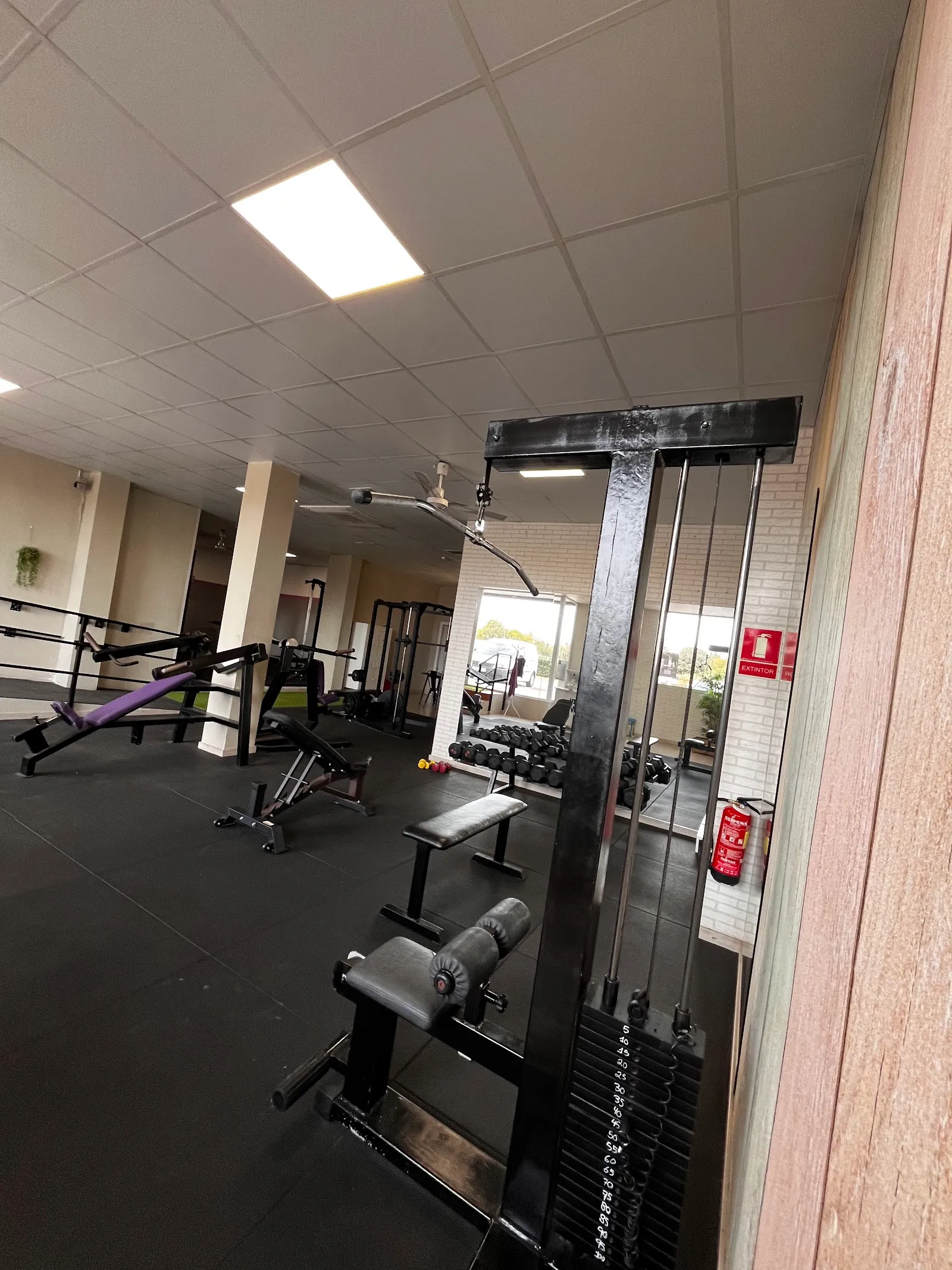 Prodigym — estudio de fitness-studio en Urbanització Torre del Virrei, l'Eliana — 3
