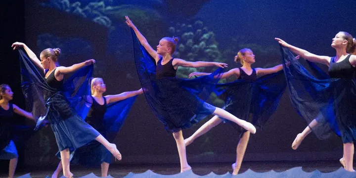 Reflex Ballet- & Dansstudio Lelystad — dans-studio in Stadshart, Lelystad — 2