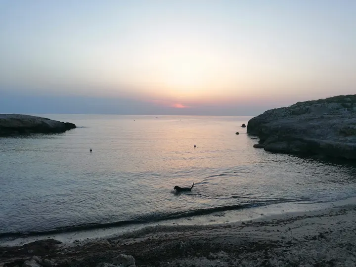 Icos Sporting Club Monopoli — palestre-studio a Monopoli — 5