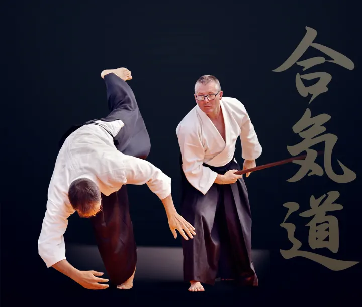 AIKIDO BEZONS — arts martiaux-studio à Bezons, Paris — 2