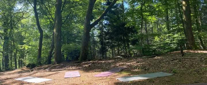 Outdoor Yoga Oosterbeek — yoga-studio in Transvaal, Oosterbeek — 3