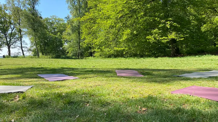 Outdoor Yoga Oosterbeek — Yoga in Transvaal, Oosterbeek