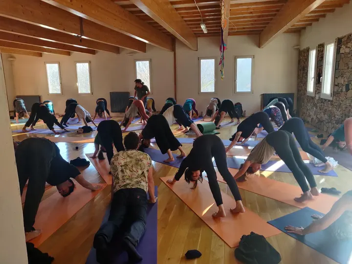 Alice Yoga Nomade — yoga-studio à Marseille — 3