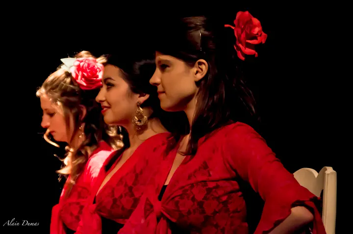 Flamenco Medialuna — danse-studio à La Châtelière, Saint-Martin-d'Hères — 3