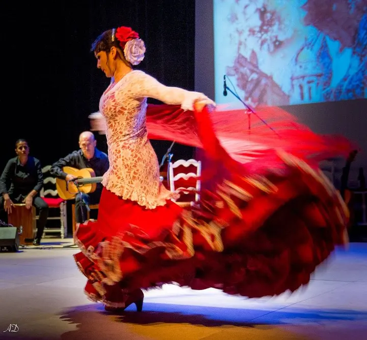 Flamenco Medialuna — danse-studio à Saint-Martin-d'Hères — 3