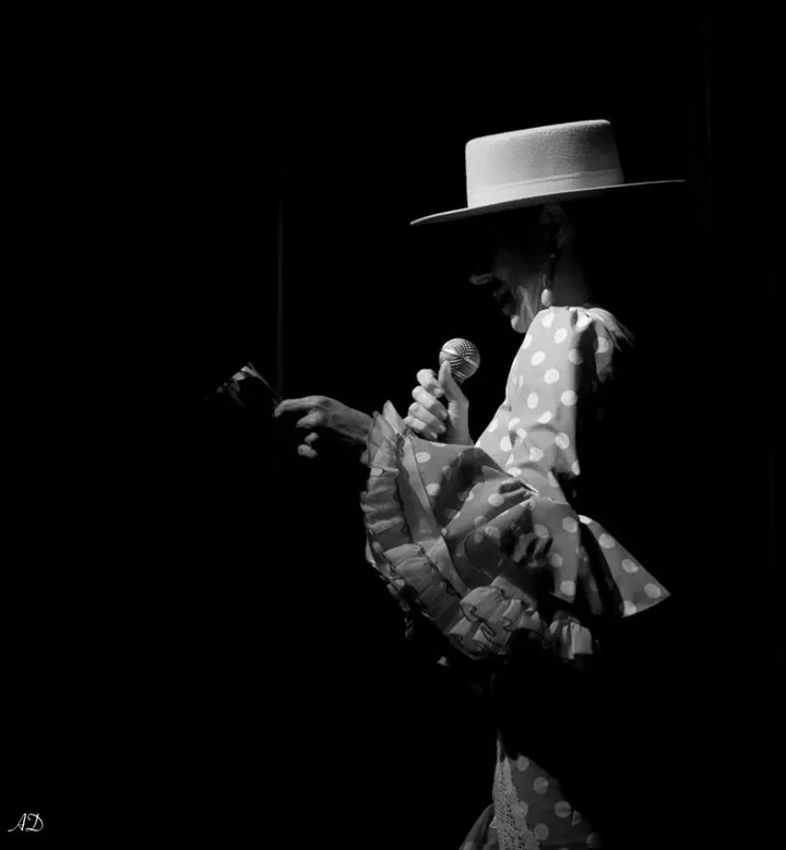 Flamenco Medialuna — danse-studio à Saint-Martin-d'Hères — 4