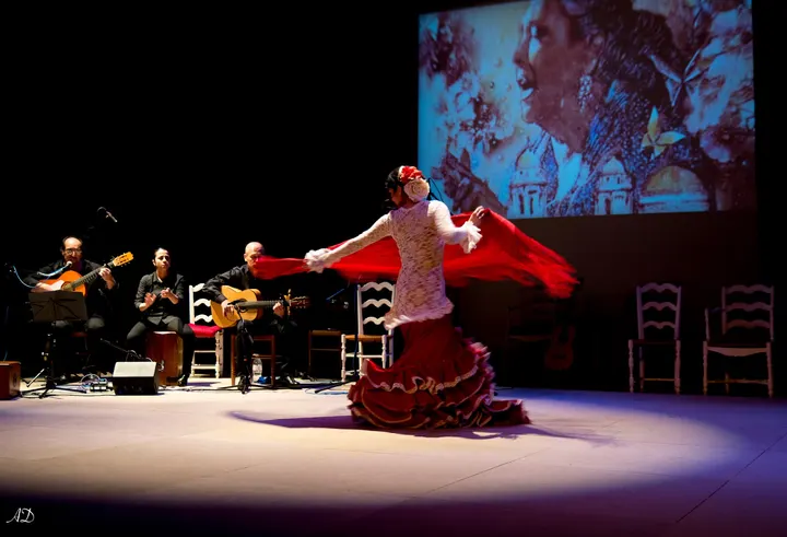 Flamenco Medialuna — Danse à La Châtelière, Saint-Martin-d'Hères