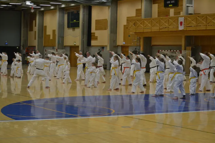 Fana Wado-Ryu karateklubb — kampsport-studio i Ulsmåg, Bergen — 3