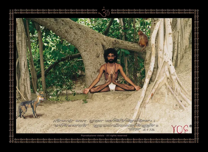 Casa Yog — yoga-studio a Perugia — 3
