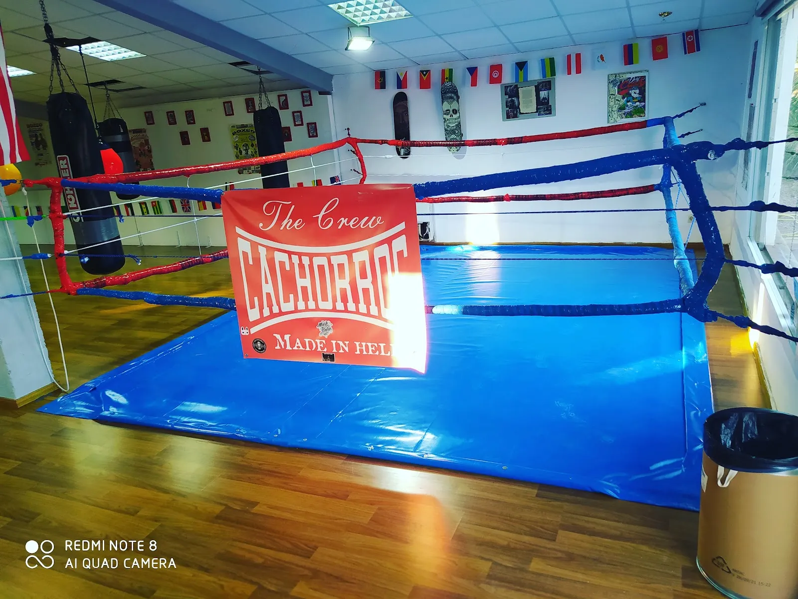 Cachorros Boxing Club — artes marciales-studio en La Muela — 2