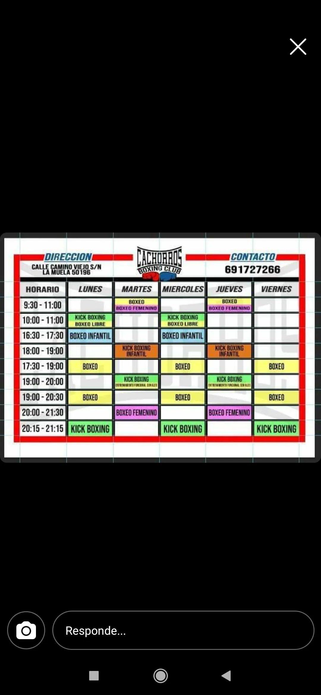 Cachorros Boxing Club — artes marciales-studio en La Muela — 4