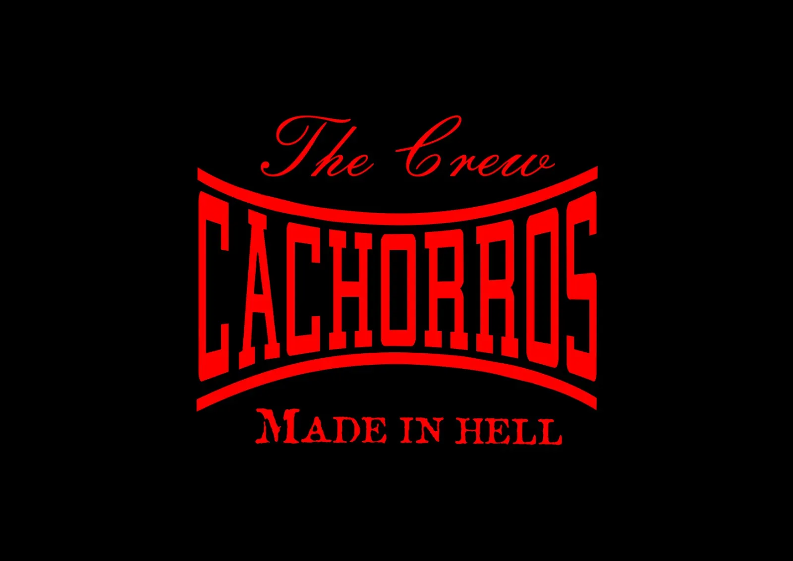Cachorros Boxing Club — artes marciales-studio en La Muela — 5