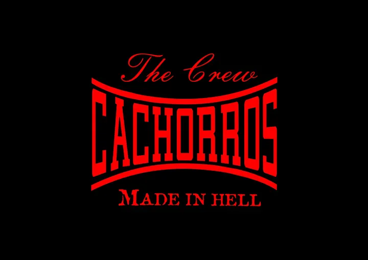 Cachorros Boxing Club — artes marciales-studio en La Muela — 5
