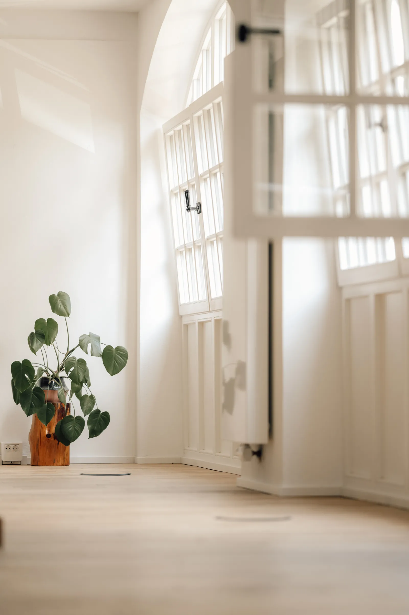 Mani Yoga — yoga-studio i Trier — 6