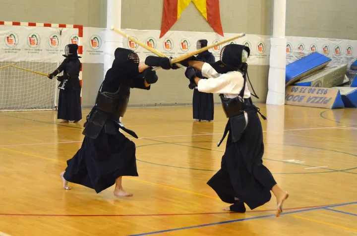 Kendo Malaga Shion Dojo — artes marciales-studio en Málaga — 5
