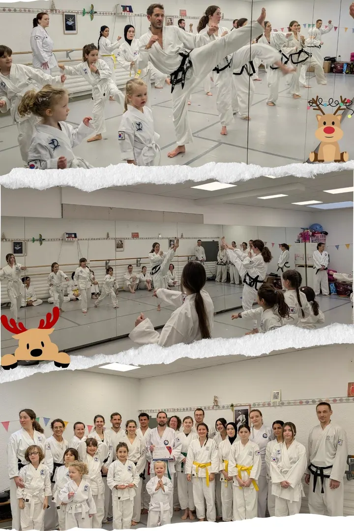 Uiji-Do Traditional Taekwondo — kampfsport-studio in Altstadt, Heidelberg — 2