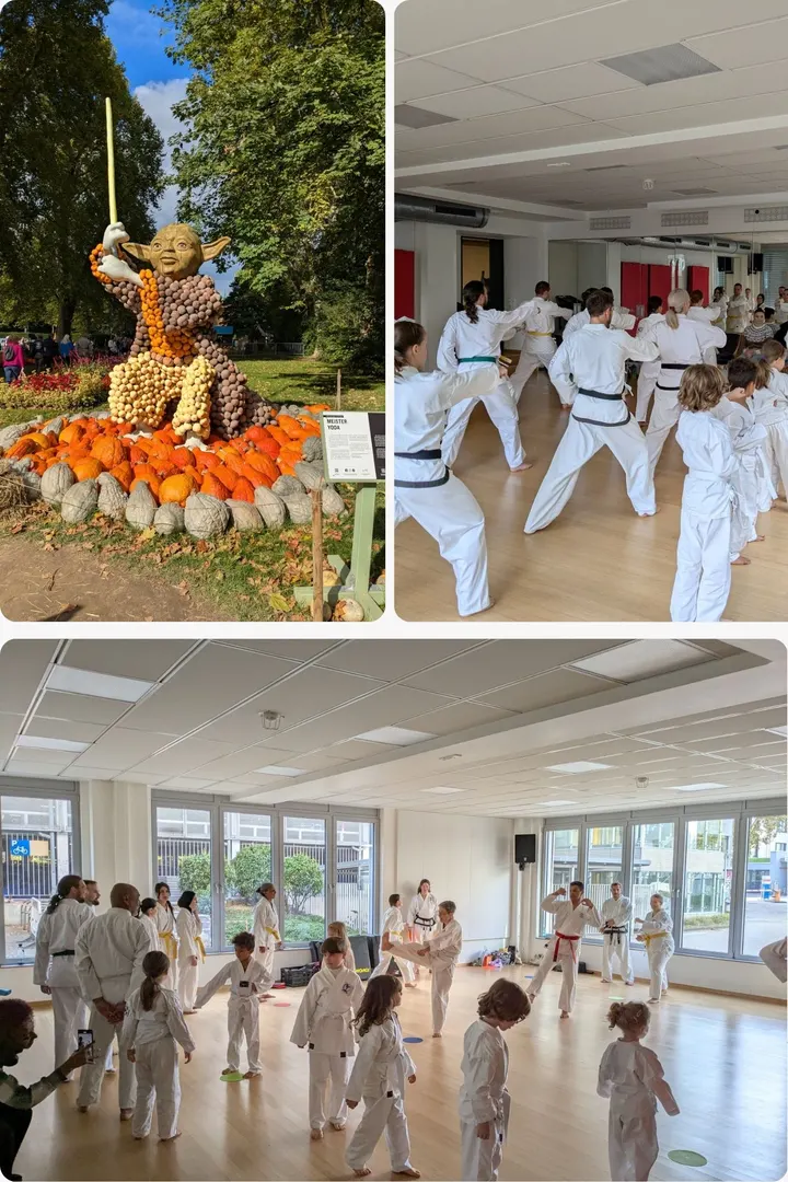 Uiji-Do Traditional Taekwondo — kampfsport-studio in Altstadt, Heidelberg — 3
