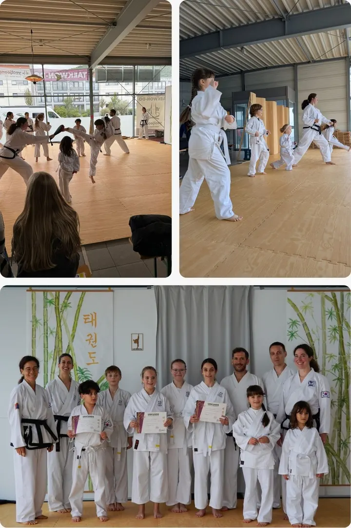 Uiji-Do Traditional Taekwondo — kampfsport-studio in Heidelberg — 3