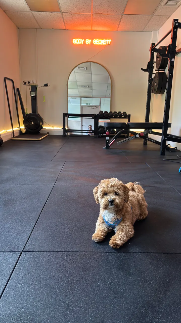 Body by Beckett Box — fitness studio in Hastings — 4